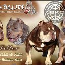 �������� ����� ���� �� ������� ���� ����������