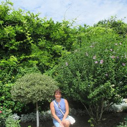 �������, ������, 56 ���