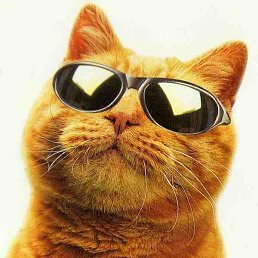 Alex, ������-���