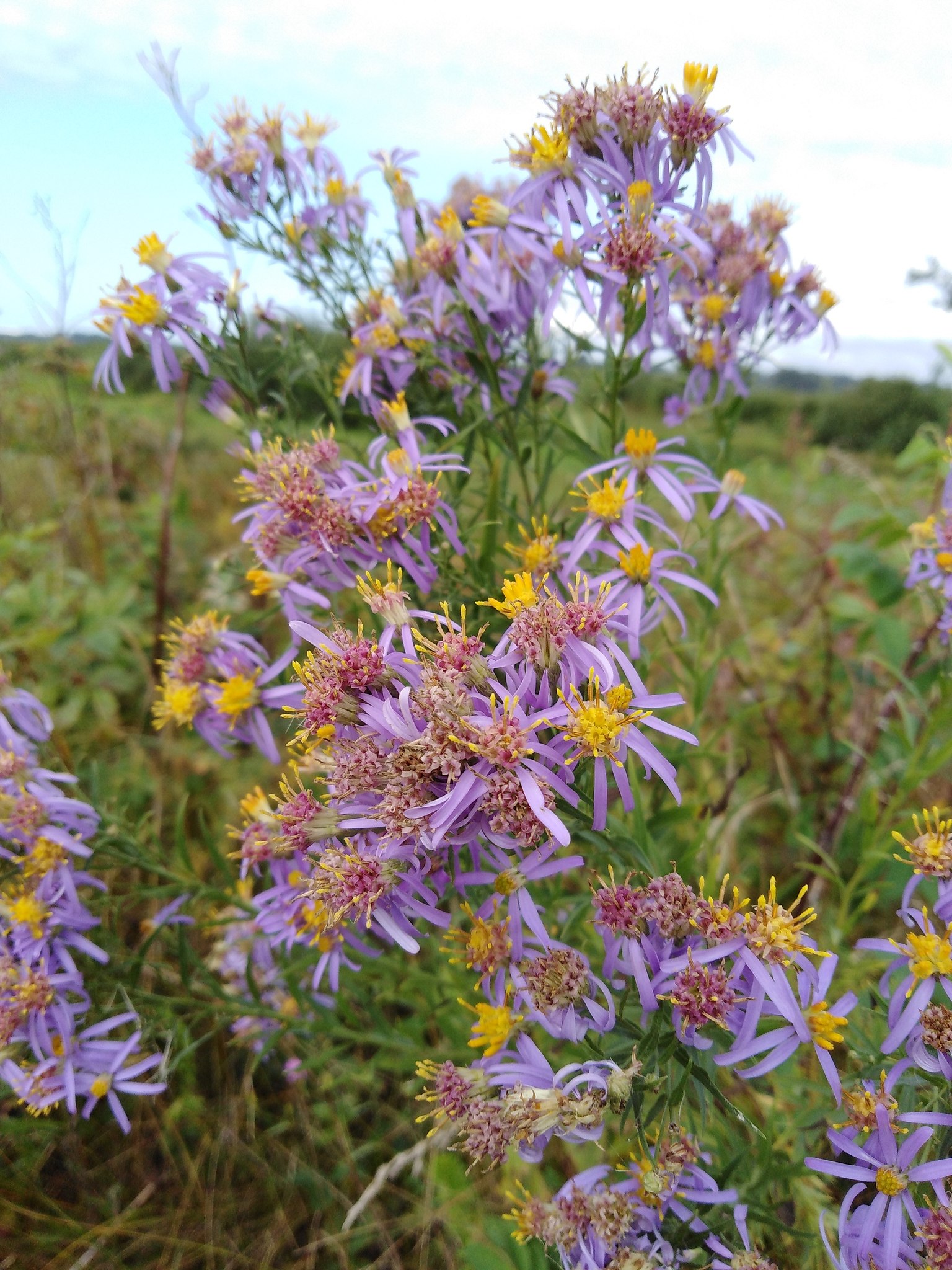  - 26  2018  21:03 - 7