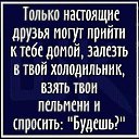  , , 49  -  5  2019   ...  )