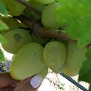 ���� �����, ������, 57 ��� - ��������� 10 �������� 2018 � ������ ���� ����������