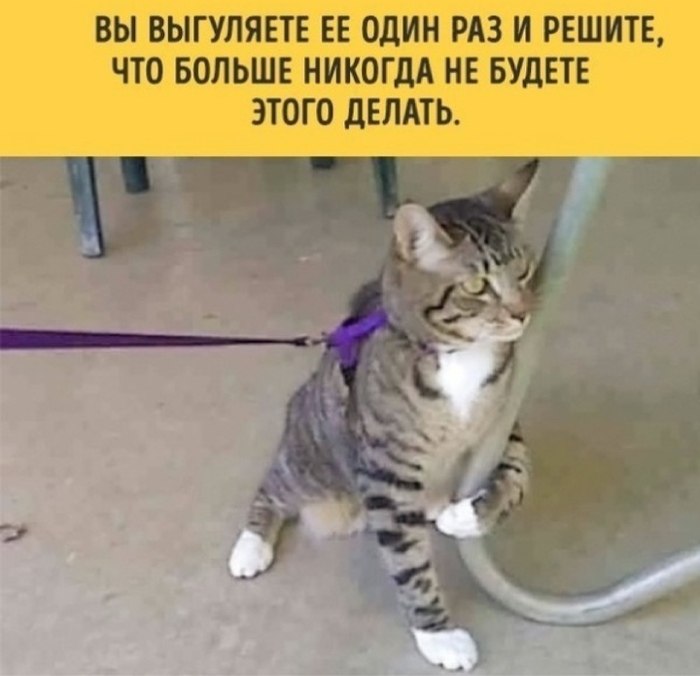   ,    -        - 9