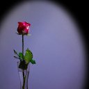 ���� Zaja, ������� - ��������� 4 ������ 2018 � ������ ���� ����������