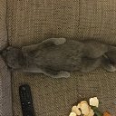 ���� �����, ��������, 58 ��� - ��������� 24 ������� 2018 � ������ ���� ����������