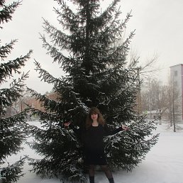 , 27, 