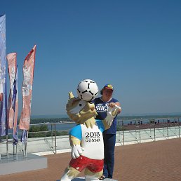 �����, ������, 43 ����