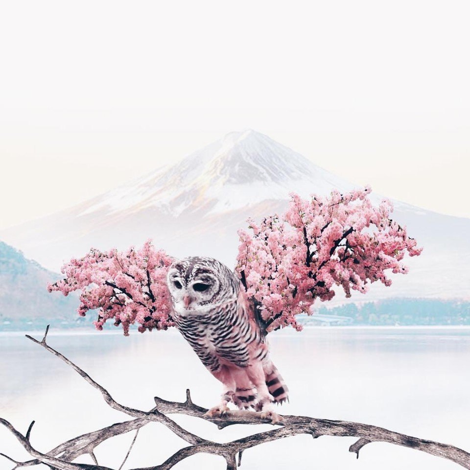      . : https://fotostrana.ru/away?to=/sl/wrP () #@ican - 4