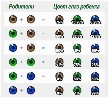 Вычисляем какой цвет глаз будет у Вашего ребенка? Несколько фактов: 1. По мере взросления ребенка, ...