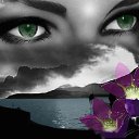 ���� Vera, ������ - ��������� 18 ������ 2019 � ������ ������ ��������