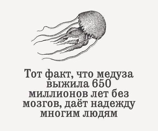     - 23  2019  16:48