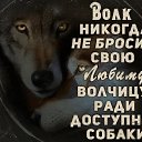 ���� �������, �����-�������, 50 ��� - ��������� 25 ������ 2019 � ������ ���� ����������