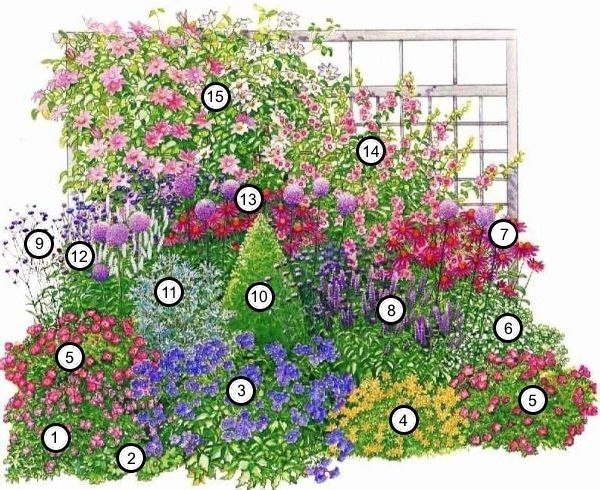 27 цветущих кустарников, которые преобразят ваш сад.Чтобы создать уют на приусадебном участке ...