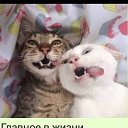 ���� ����, ������� ������, 56 ��� - ��������� 16 ������� 2018 � ������ ������ ��������