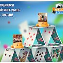 ���� �������, ����������, 48 ��� - ��������� 5 ������� 2018 � ������ �������� �������-�������