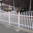 ���� �����, �����������, 62 ���� - ��������� 31 ������� 2018 � ������ ���� ������