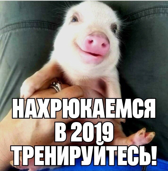 ***Victoria Viktorovna*** - 12  2018  16:52