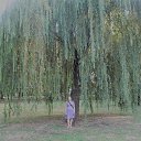 ���� �����, ��������� - ��������� 7 ������� 2018 � ������ ���� ����������