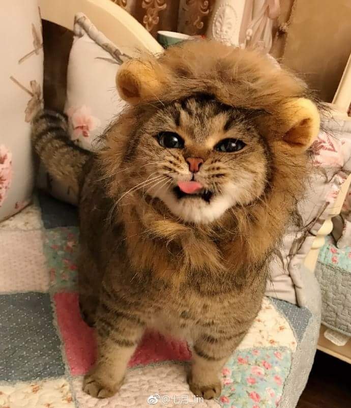   :3 - 3