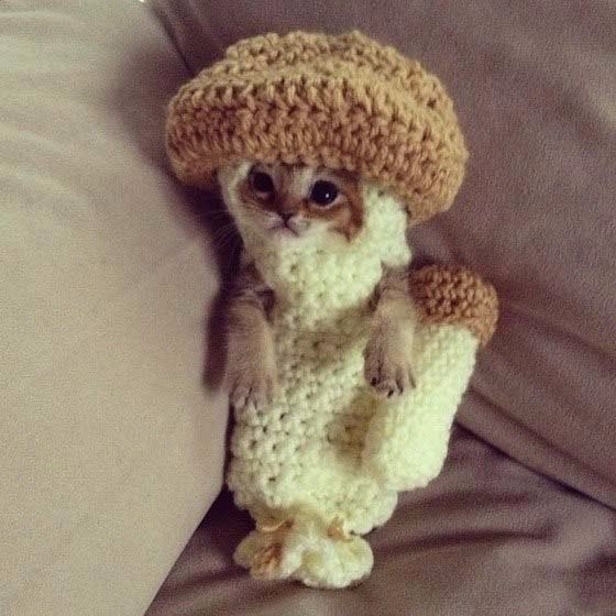       ,     ,  DopeSk1llz. ...