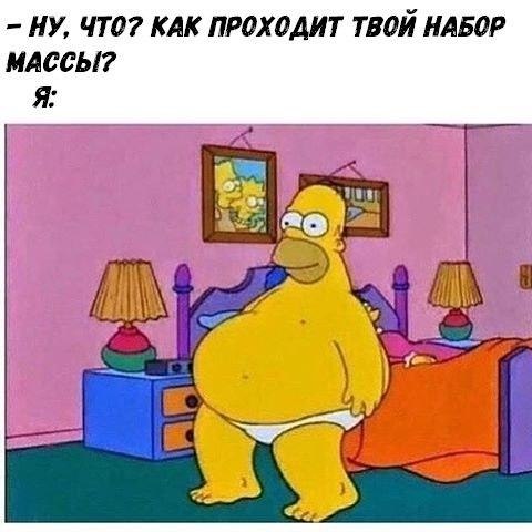 SportFeed - 27  2019  03:44