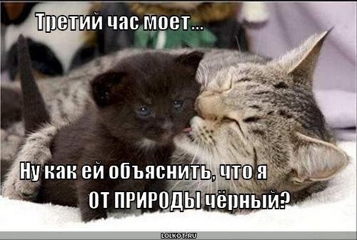 Ѩ  - 30  2018  14:40