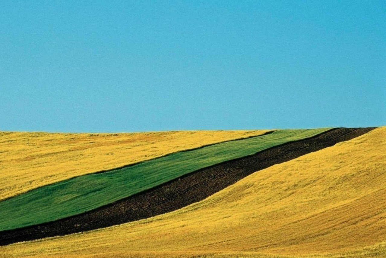  .: Franco Fontana