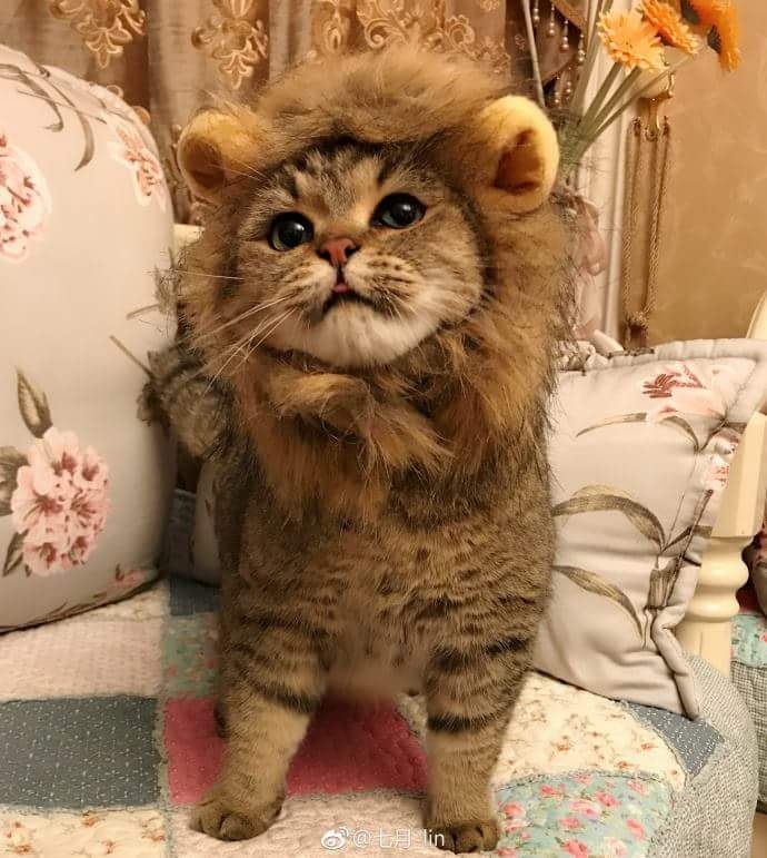   :3