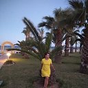���� �������, �����-��������� - ��������� 15 ������� 2018 � ������ ���� ����������