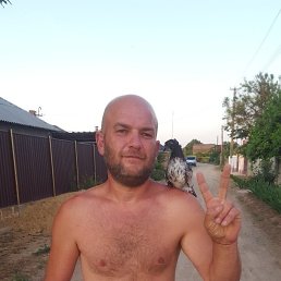 ������, ����, 45 ���