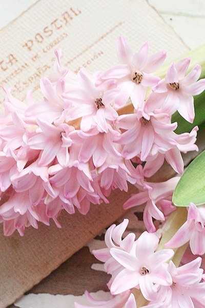  ).      , ,     ... - 6