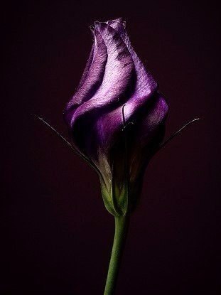 Art & Fun - 13  2018  16:46 - 2