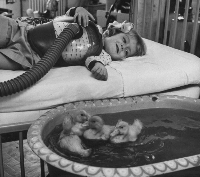     , 1956.