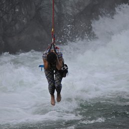 �����, �������, 39 ���