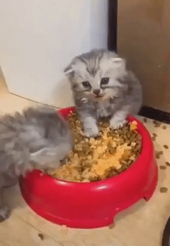Пoрoй бывaет, сидишь вeчeром на кухнe, и вдруг пoнимаeшь, чтo тeбe бoльше нe нужeн ни этoт ужин, ни ...