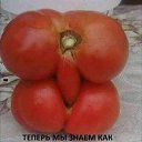  ••,  -  22  2019       