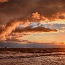  , , 66  -  20  2019   ..