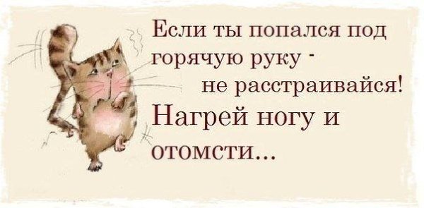 ☆ ☆ - 9  2019  17:05