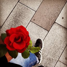 �����, ���������, 24 ����