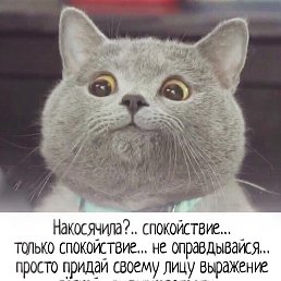 ˸��, ���������, 47 ���