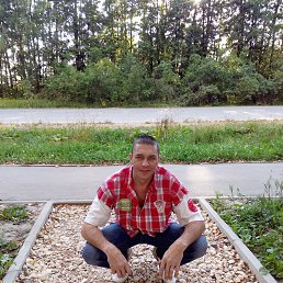 ������, ������, 49 ���