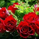 ���� ���������, �����-���������, 56 ��� - ��������� 9 �������� 2018 � ������ ���� ����������