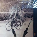  , , 50  -  17  2018   -