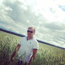 ����, 38 ���, ���������