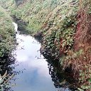  Dainius, , 51  -  22  2018   