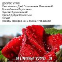 ���� ��������, ������ �������� - ��������� 15 ���� 2018 � ������ ������ ��������