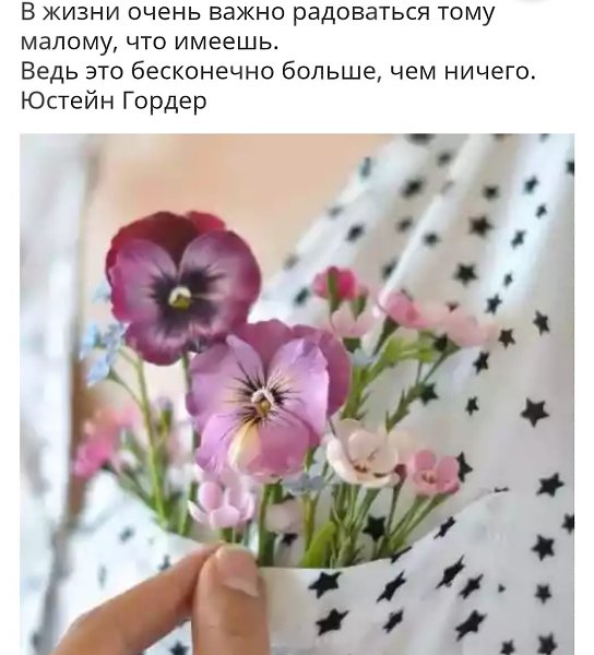  ,:) - 7  2019  09:30