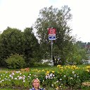 ���� �������, ������, 61 ��� - ��������� 20 ���� 2018 � ������ ���� ����������