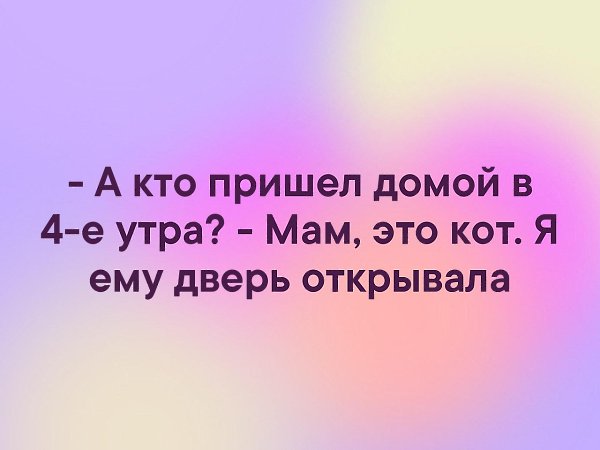   - 28  2019  16:52