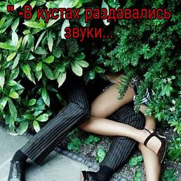 ���� �����, ����������, 51 ��� - ��������� 14 �������� 2018